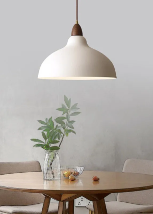 KAEGIN Wholesale ordering services in the field of furniture and building materials-- pendent lamp